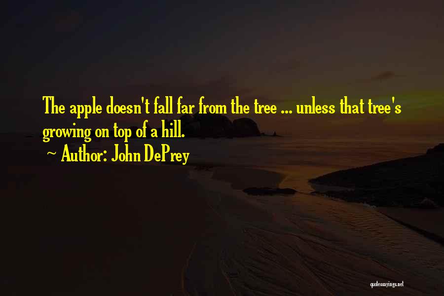 Top Of The Hill Quotes By John DePrey