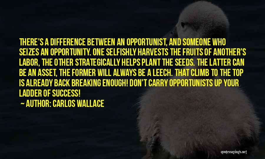 Top Of The Ladder Quotes By Carlos Wallace