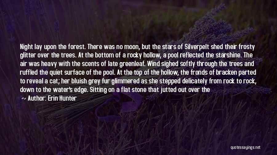 Top Of The Rock Quotes By Erin Hunter