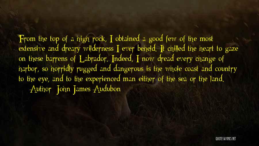 Top Of The Rock Quotes By John James Audubon