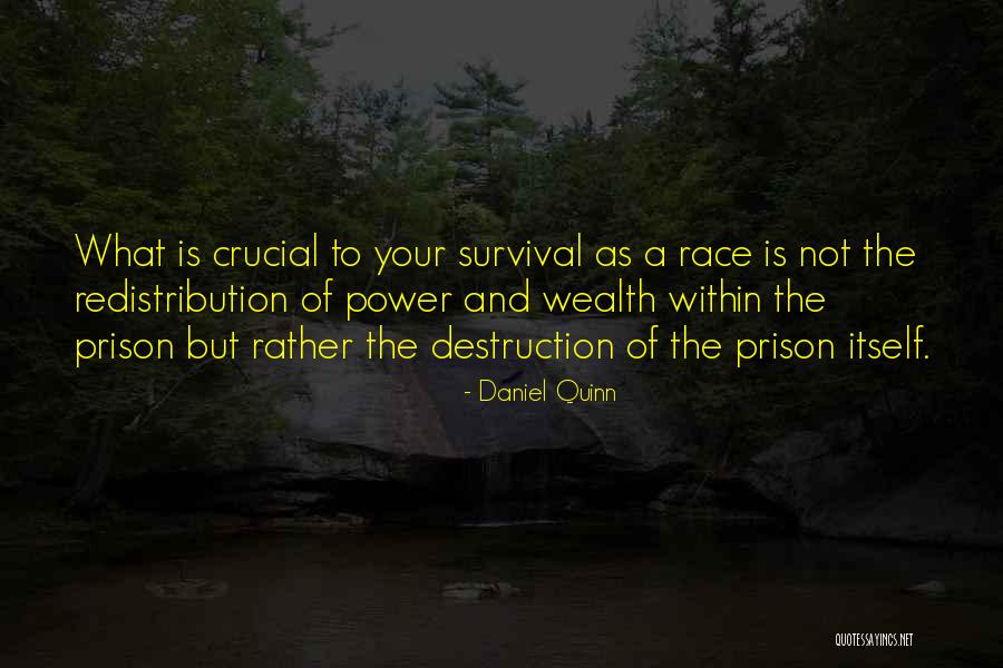 Top Remembrance Day Quotes By Daniel Quinn Top Remembrance Day Quotes By Daniel Quinn