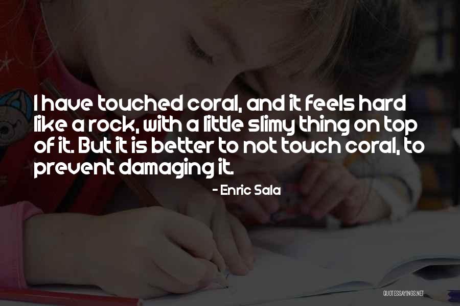 Top Rock Quotes By Enric Sala Top Rock Quotes By Enric Sala