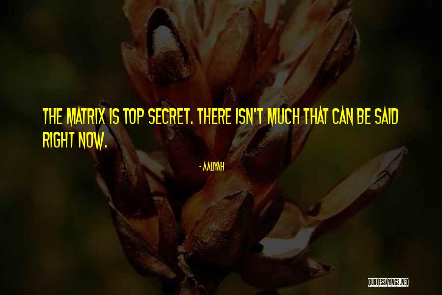 Top Secret Quotes By Aaliyah Top Secret Quotes By Aaliyah