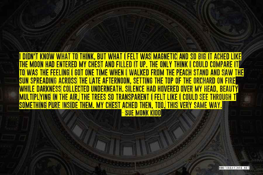 Top Stand Up Quotes By Sue Monk Kidd Top Stand Up Quotes By Sue Monk Kidd
