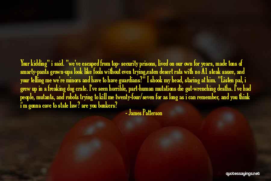 Top Twenty Quotes By James Patterson