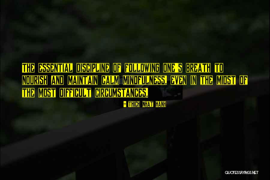 Top Willow Rosenberg Quotes By Thich Nhat Hanh Top Willow Rosenberg Quotes By Thich Nhat Hanh