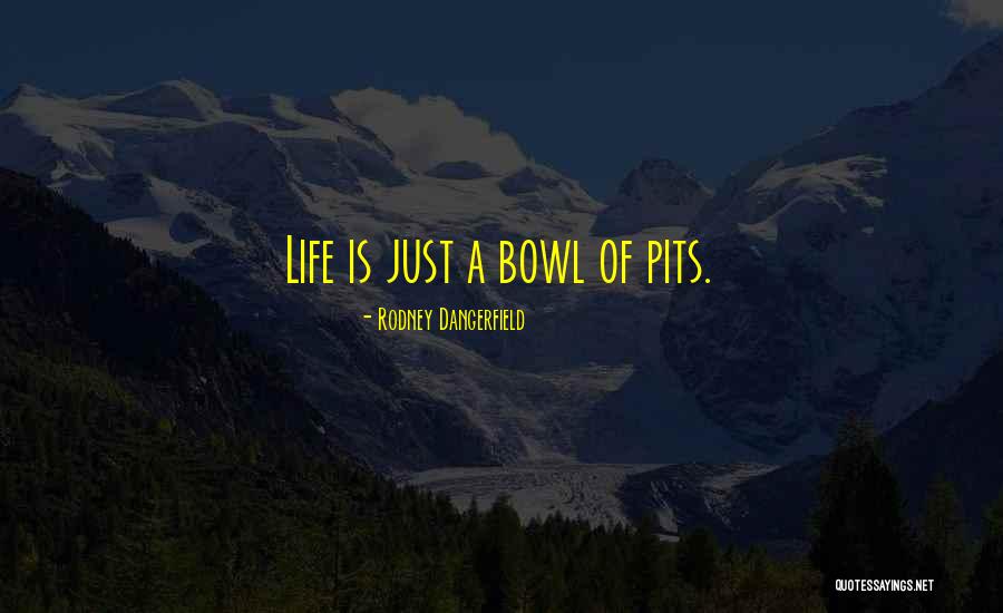Toplumla Ilgili Quotes By Rodney Dangerfield Toplumla Ilgili Quotes By Rodney Dangerfield