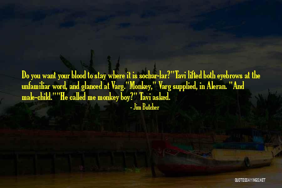 Topografia Abdominal Quotes By Jim Butcher Topografia Abdominal Quotes By Jim Butcher