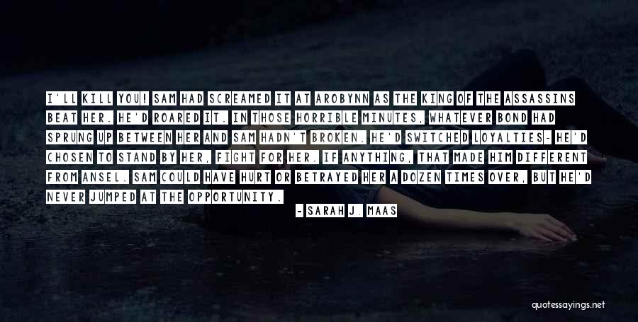 Topographies Band Quotes By Sarah J. Maas Topographies Band Quotes By Sarah J. Maas
