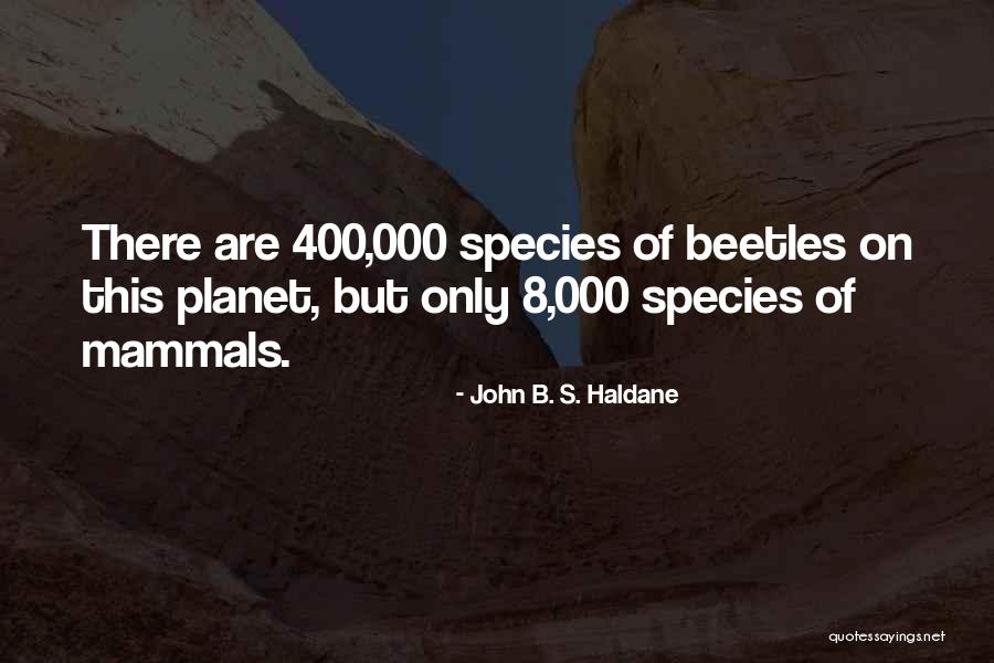 Topped Waikiki Quotes By John B. S. Haldane Topped Waikiki Quotes By John B. S. Haldane