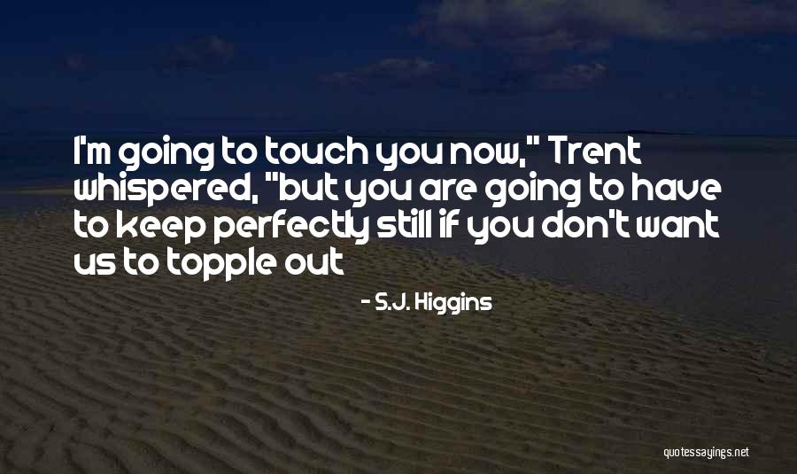 Topple Quotes By S.J. Higgins Topple Quotes By S.J. Higgins