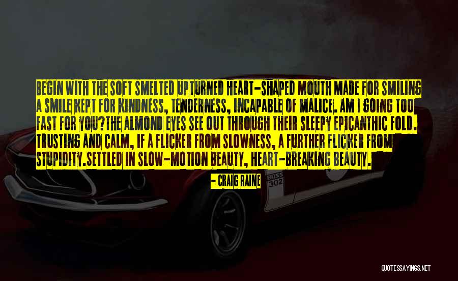 Toppmoller Quotes By Craig Raine Toppmoller Quotes By Craig Raine