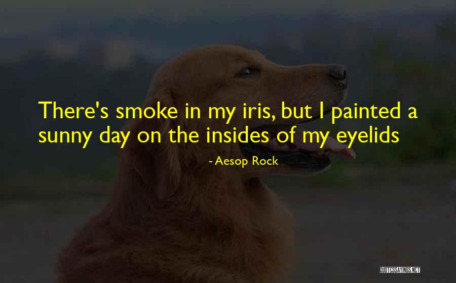 Toprank Quotes By Aesop Rock Toprank Quotes By Aesop Rock