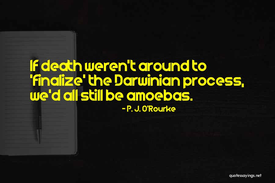 Toqueme Quotes By P. J. O'Rourke Toqueme Quotes By P. J. O'Rourke