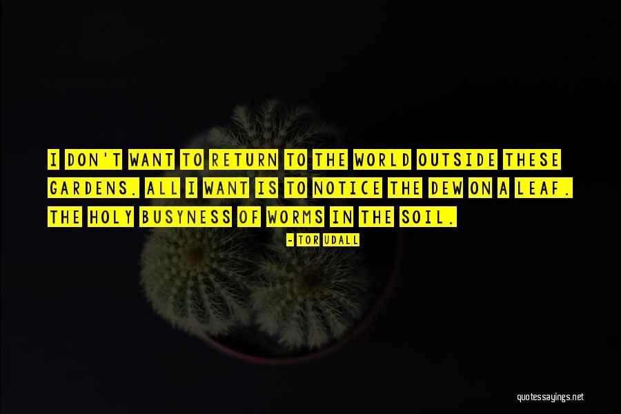 Tor Udall Quotes 919275 Tor Udall Quotes 919275
