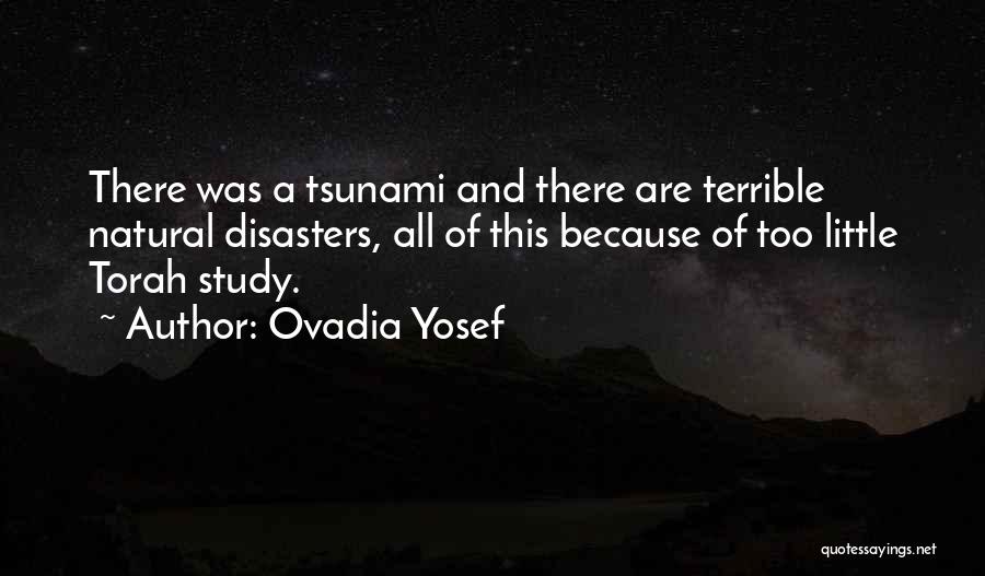 Torah Study Quotes By Ovadia Yosef