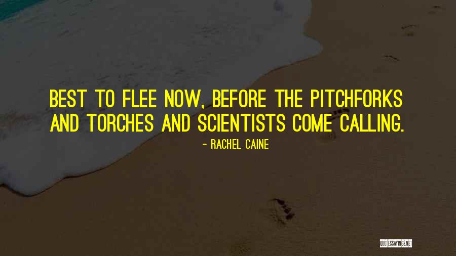 Torches And Pitchforks Quotes By Rachel Caine Torches And Pitchforks Quotes By Rachel Caine