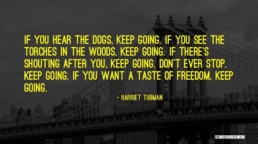 Torches Quotes By Harriet Tubman Torches Quotes By Harriet Tubman