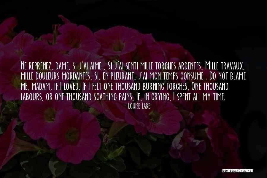 Torches Quotes By Louise Labe Torches Quotes By Louise Labe