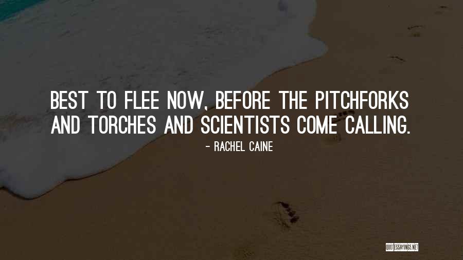 Torches Quotes By Rachel Caine Torches Quotes By Rachel Caine
