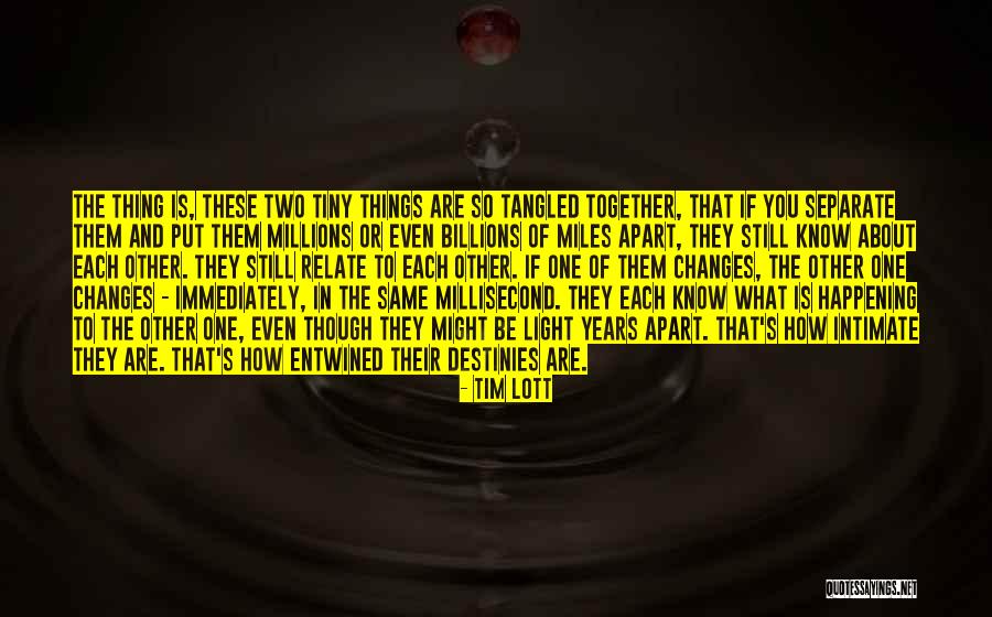 Torcy Prefecture Quotes By Tim Lott Torcy Prefecture Quotes By Tim Lott