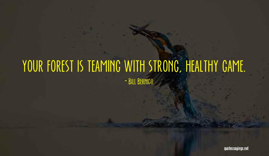 Torday Anita Quotes By Bill Bernico Torday Anita Quotes By Bill Bernico