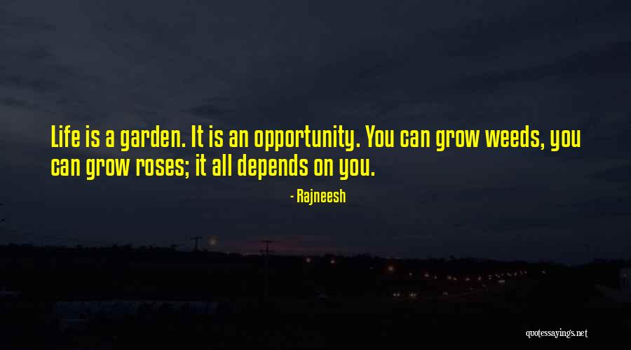 Tordos Significado Quotes By Rajneesh Tordos Significado Quotes By Rajneesh