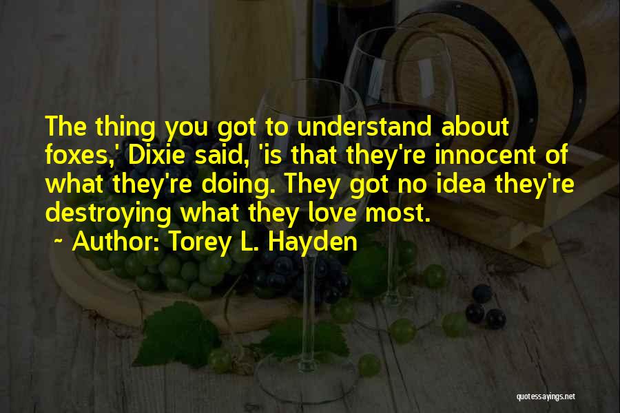 Torey L. Hayden Quotes 159673