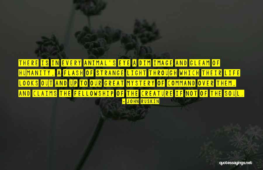 Torggler Cnu Quotes By John Ruskin Torggler Cnu Quotes By John Ruskin