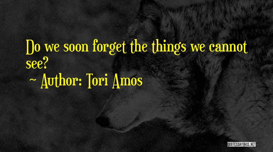 Tori Quotes By Tori Amos