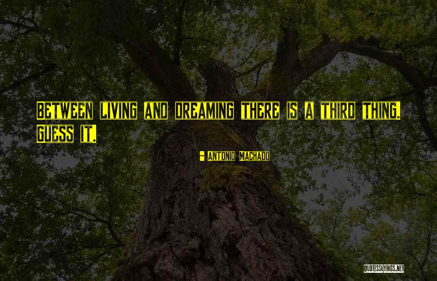Toriyama Net Quotes By Antonio Machado Toriyama Net Quotes By Antonio Machado