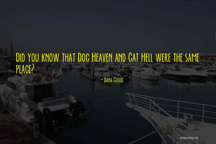 Torker Quotes By Dana Gould Torker Quotes By Dana Gould