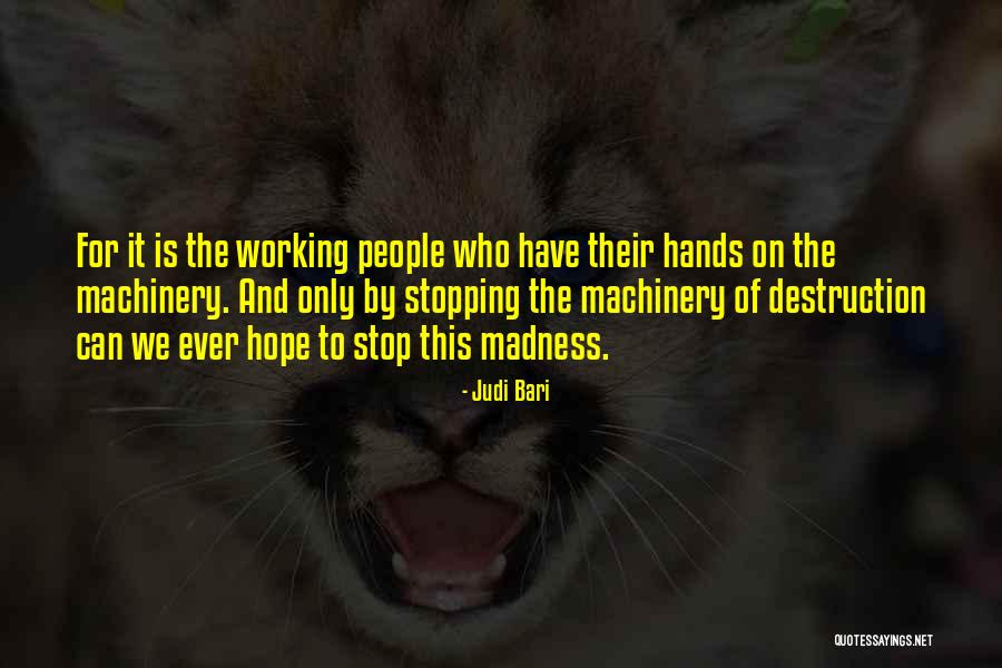 Torlasco Shoes Quotes By Judi Bari Torlasco Shoes Quotes By Judi Bari