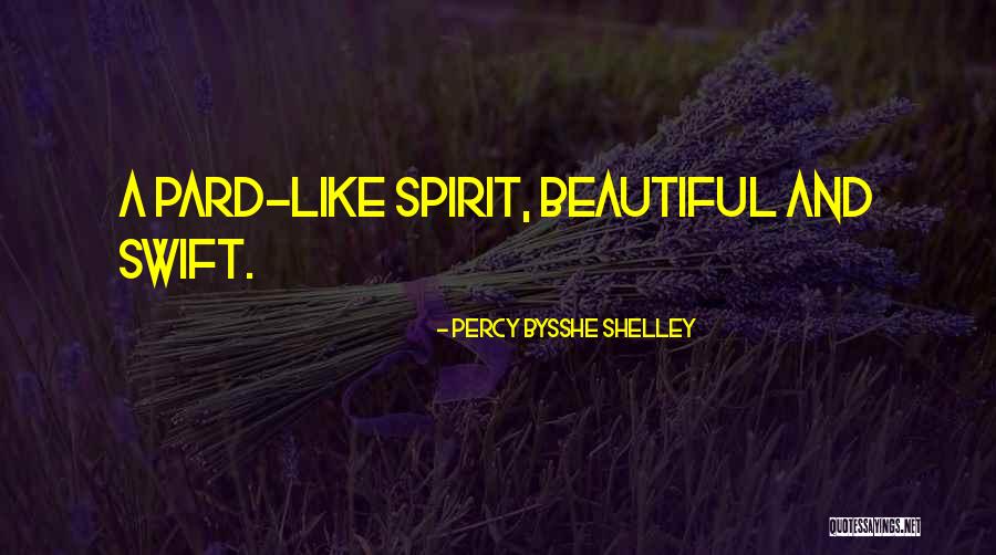 Torment Crossword Quotes By Percy Bysshe Shelley Torment Crossword Quotes By Percy Bysshe Shelley