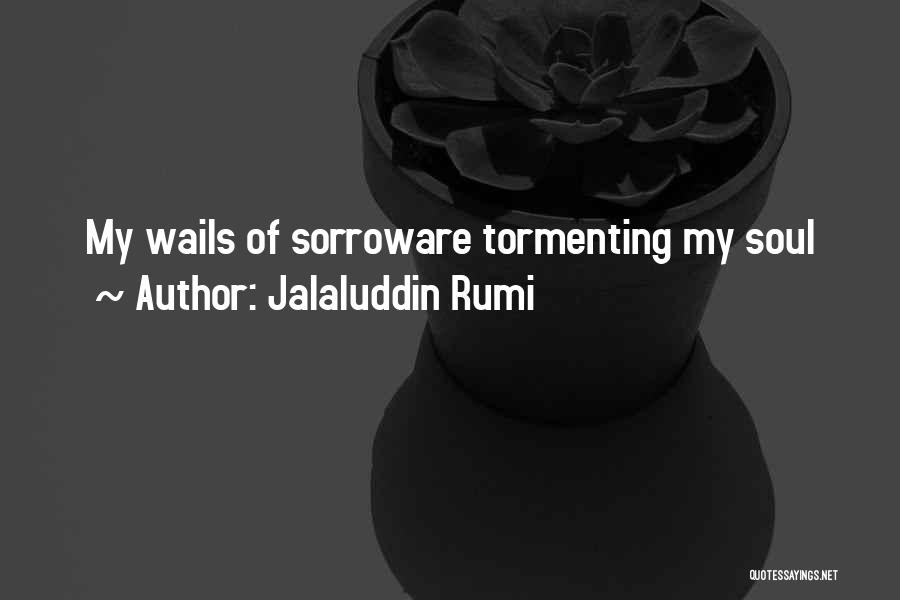 Tormenting Love Quotes By Jalaluddin Rumi