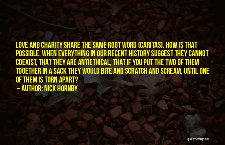 Torn Apart Love Quotes By Nick Hornby