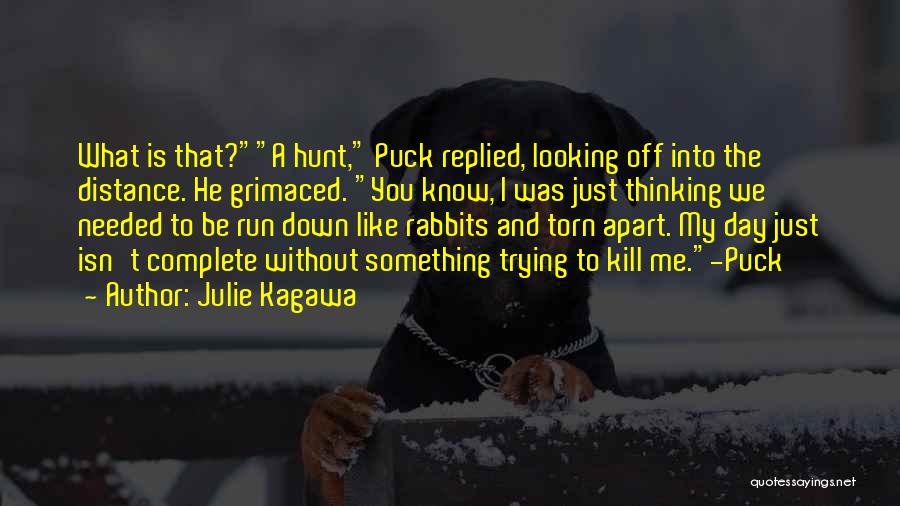 Torn Down Quotes By Julie Kagawa