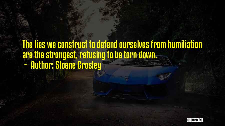 Torn Down Quotes By Sloane Crosley