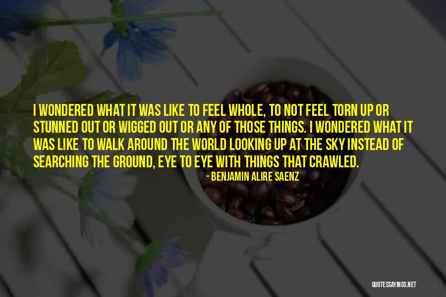 Torn Emotions Quotes By Benjamin Alire Saenz Torn Emotions Quotes By Benjamin Alire Saenz