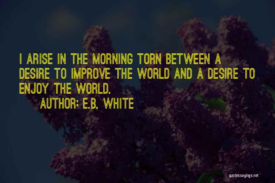 Torn In Between Quotes By E.B. White