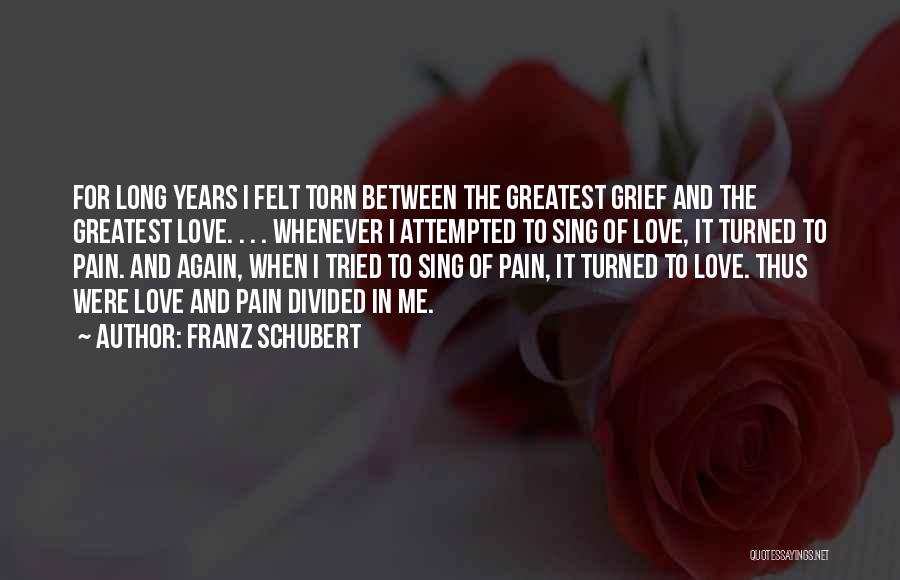 Torn In Between Quotes By Franz Schubert