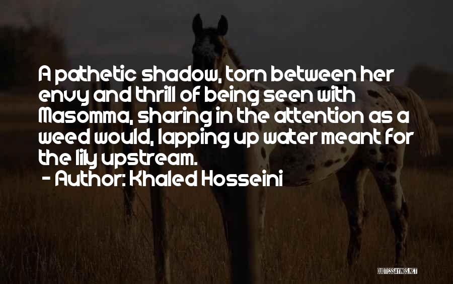 Torn In Between Quotes By Khaled Hosseini
