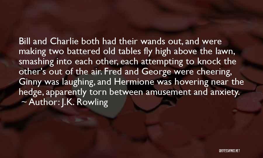 Torn In Between Two Quotes By J.K. Rowling