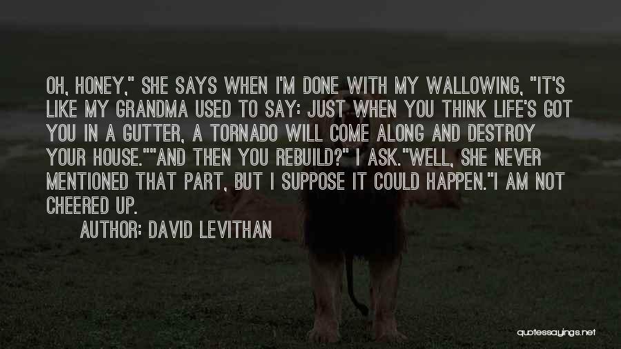 Tornado Inspirational Quotes By David Levithan