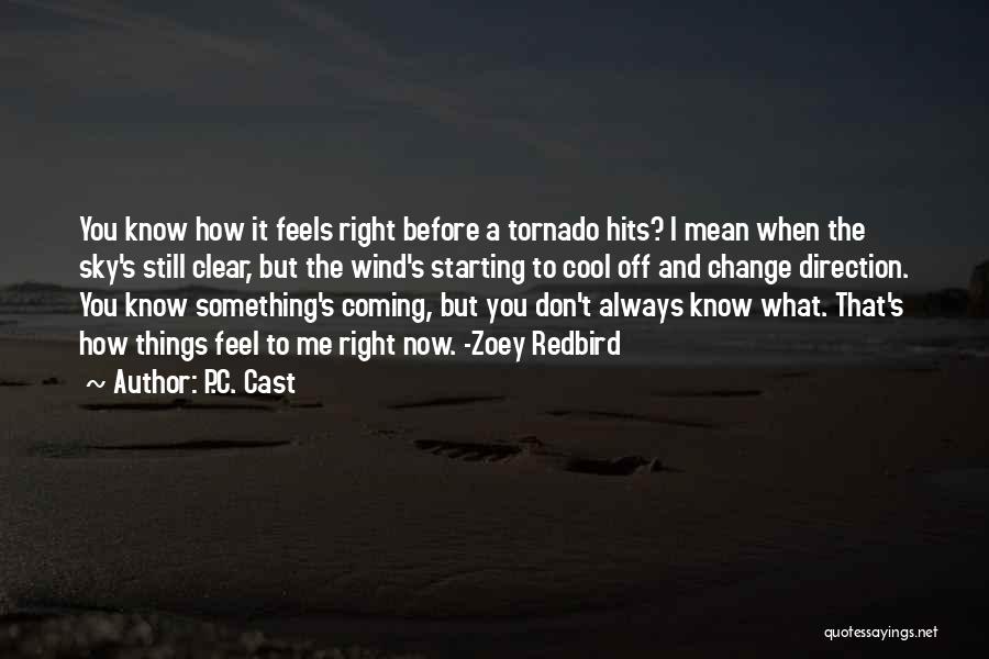 Tornado Quotes By P.C. Cast