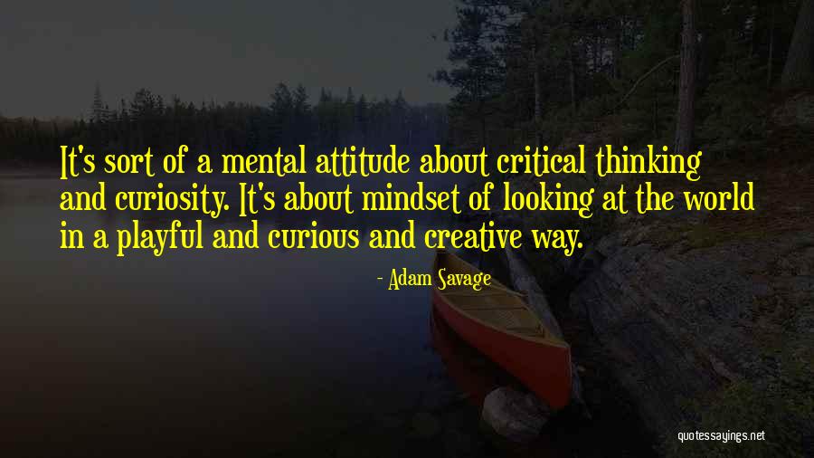 Tornavacas Quotes By Adam Savage Tornavacas Quotes By Adam Savage
