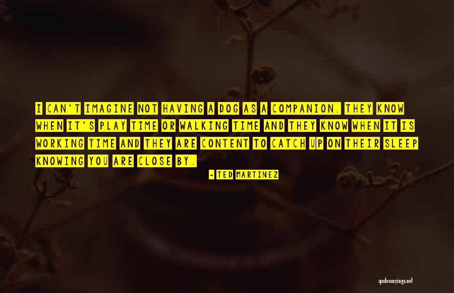 Torquere Books Quotes By Ted Martinez Torquere Books Quotes By Ted Martinez
