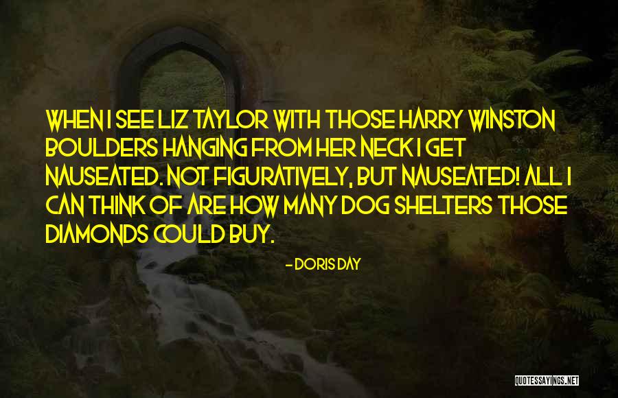Torrans Metal Bar Quotes By Doris Day