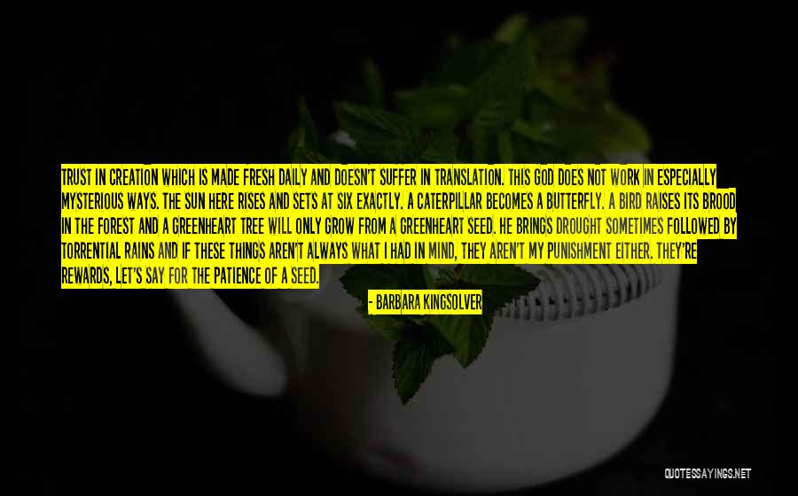 Torrential Rains Quotes By Barbara Kingsolver Torrential Rains Quotes By Barbara Kingsolver
