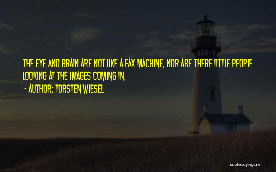 Torsten Wiesel Quotes 712664